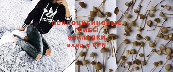 спайс Нея